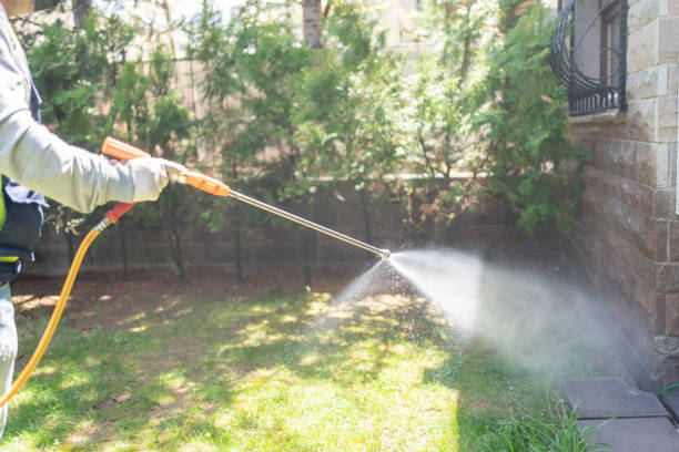 Best Pest Exclusion Services  in Barberton, WA